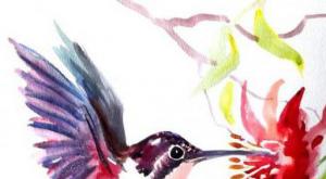 Как нарисовать птицу акварелью Рисуем лесную птичку